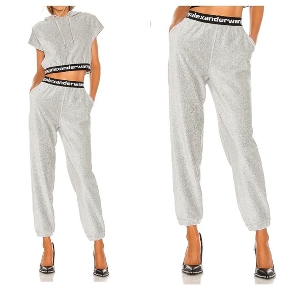 Alexander Wang Logo Corduroy Jogger Pants - Picture 1 of 9